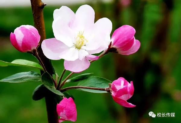 原创 当孩子哭着说“写不出作文”，你的回答影响孩子一生 4