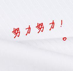 白雪中绽放的奇葩 高中生奋斗话题作文800字