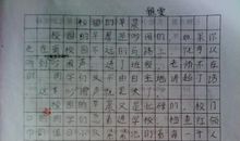 关于捉蝶记的作文