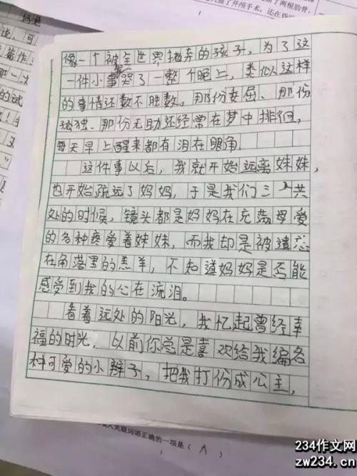 说说“我们” 初中生写人作文400字