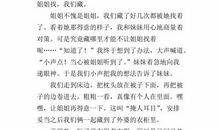 捉迷藏 有趣的游戏作文300字