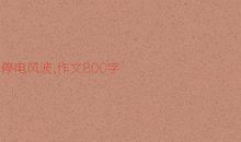 我的心儿怦怦跳 停电风波作文400字