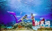 海底的伪装表演 精彩的表演作文400字