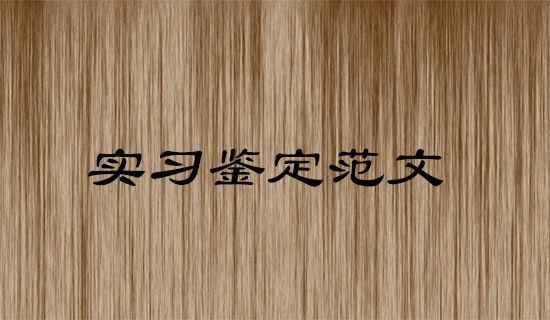 话务员实习报告
