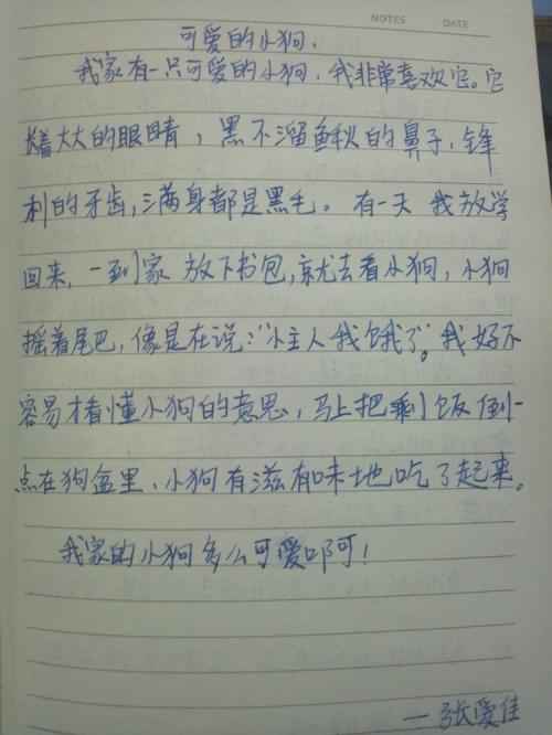 一二三，木偶人 欢声笑语的一天1200字作文
