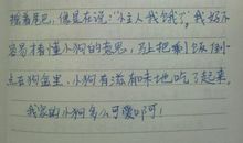 一二三，木偶人 欢声笑语的一天1200字作文