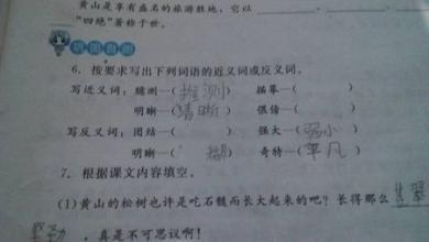分裂的近义词