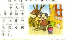 爷爷和小树小学一年级语文教案