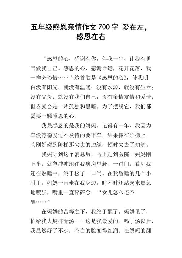 别样的亲情作文700字以上