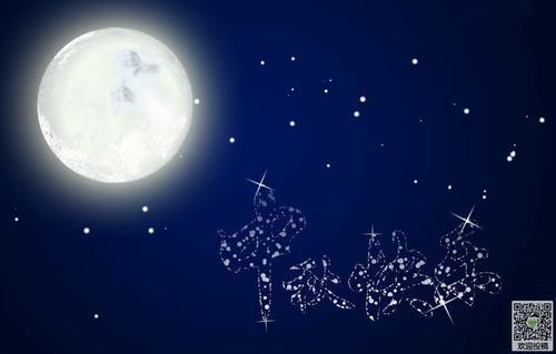 我和家人过中秋-中秋节的夜晚作文400字