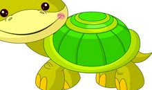 可爱的小乌龟 两只小乌龟作文300字