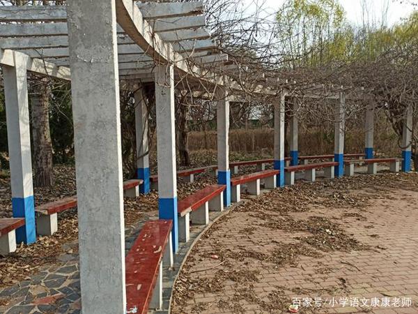 走进我家乡的一个老公园,小学语文作文写作 10