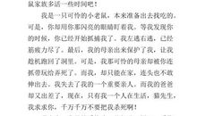 写给老鼠的一封信 写给老鼠的话作文700字