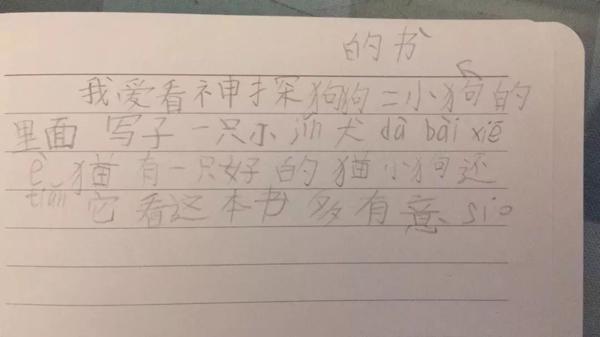 这只狗的足迹遍布中国，小朋友甚至把它写进作文！ 34