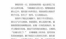 永定一游 四年级游记作文600字