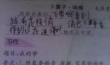 梦想与生命的碰撞 高二作文500字