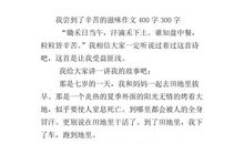 苦涩的滋味 初二叙事作文300字