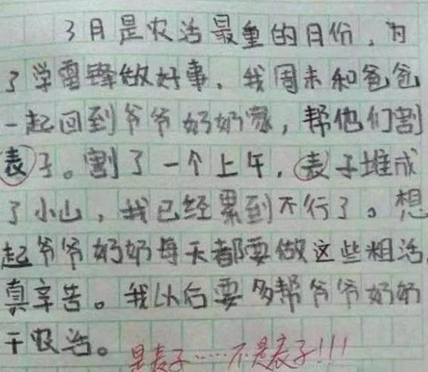 小学生“0分作文”走红,网友坐不住了:现在的学渣都是段子手 2