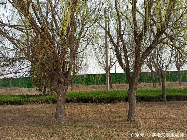 走进我家乡的一个老公园,小学语文作文写作 8