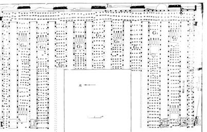 秦始皇陵兵马俑-小学说明文250字