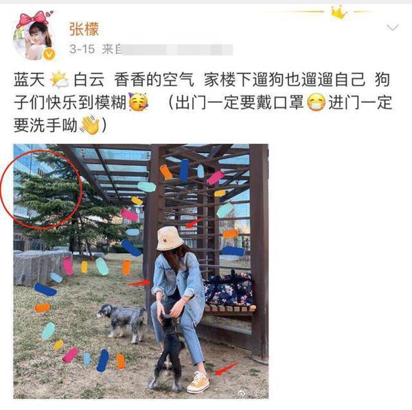 张檬金恩圣官宣恋情,于正小作文爆料:张檬这次没当小三 3