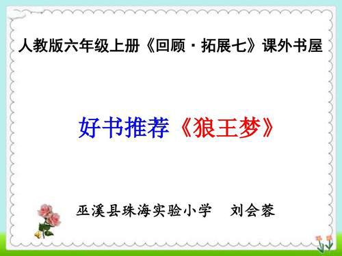 好书推荐 推荐《狼王梦》的作文500字