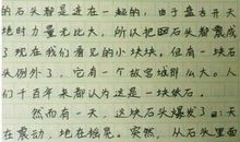 四季 关于四季的作文800字