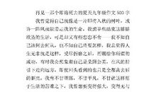 夏天的太阳 初一优秀作文400字