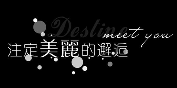 我与猫的邂逅-优秀记叙文600字