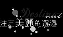 我与猫的邂逅-优秀记叙文600字