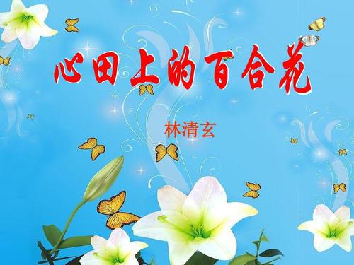 《心田上的百合花》读书笔记