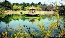 四年级作文：游小西湖公园