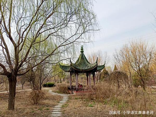 走进我家乡的一个老公园,小学语文作文写作 6
