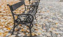 名师工作室 | 新鲜的作文素材从哪里来