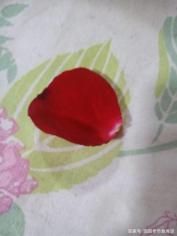 作文读起来没有味道,不生动。可以试试这几小诀窍 1
