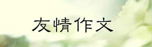 纯真的友谊 珍贵的友谊作文500字