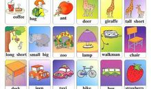 关于小学英语的单词参考