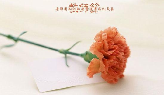 做老师真好读后感