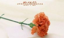 做老师真好读后感