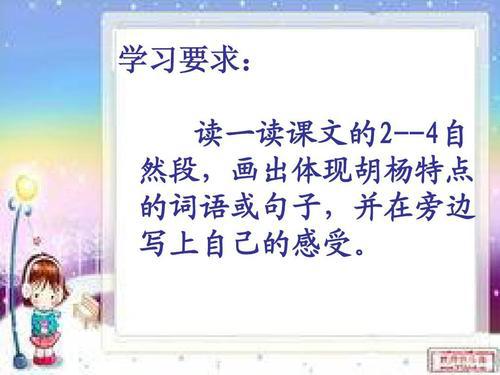 读《西风胡杨》有感 初中生读后感作文300字