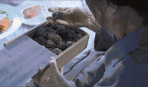 读《我的丑娘》有感 初三读后感作文600字