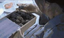 读《我的丑娘》有感 初三读后感作文600字