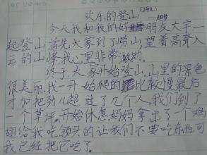暑假中的一次登山-优秀写事作文600字