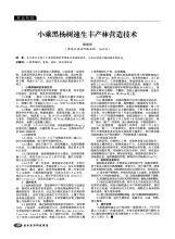 小乘黑杨树丰产林营造技术论文