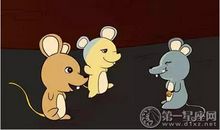 小学老鼠兄弟的故事