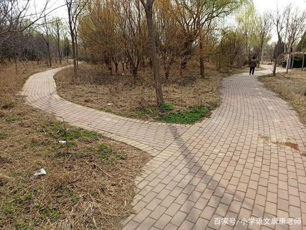 走进我家乡的一个老公园,小学语文作文写作 4