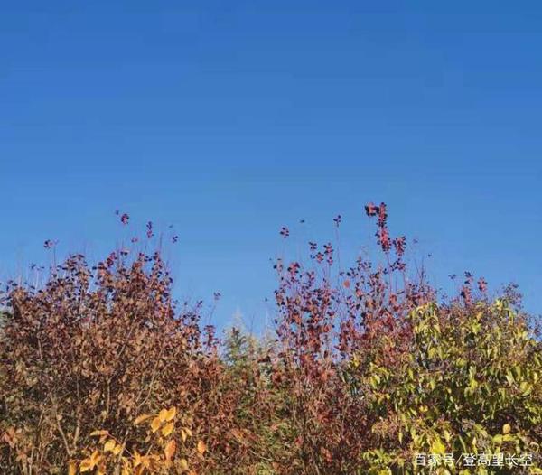 教师点评作文|给自己一个希望