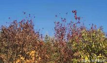 教师点评作文｜给自己一个希望