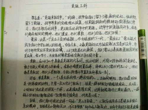我终于看见了山顶作文550字