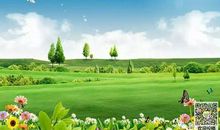 这里的风景真美 小学生优秀写景作文300字